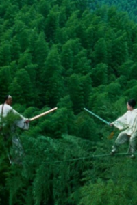 Crouching Tiger, Hidden Dragon